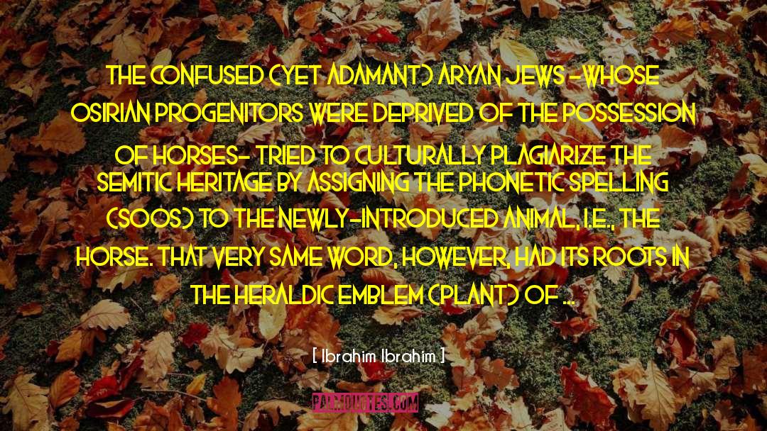 Heritage Industry quotes by Ibrahim Ibrahim
