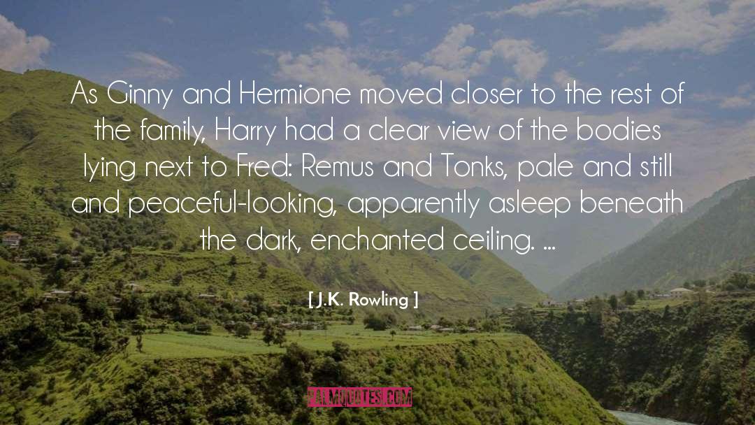 Hermione Granger quotes by J.K. Rowling