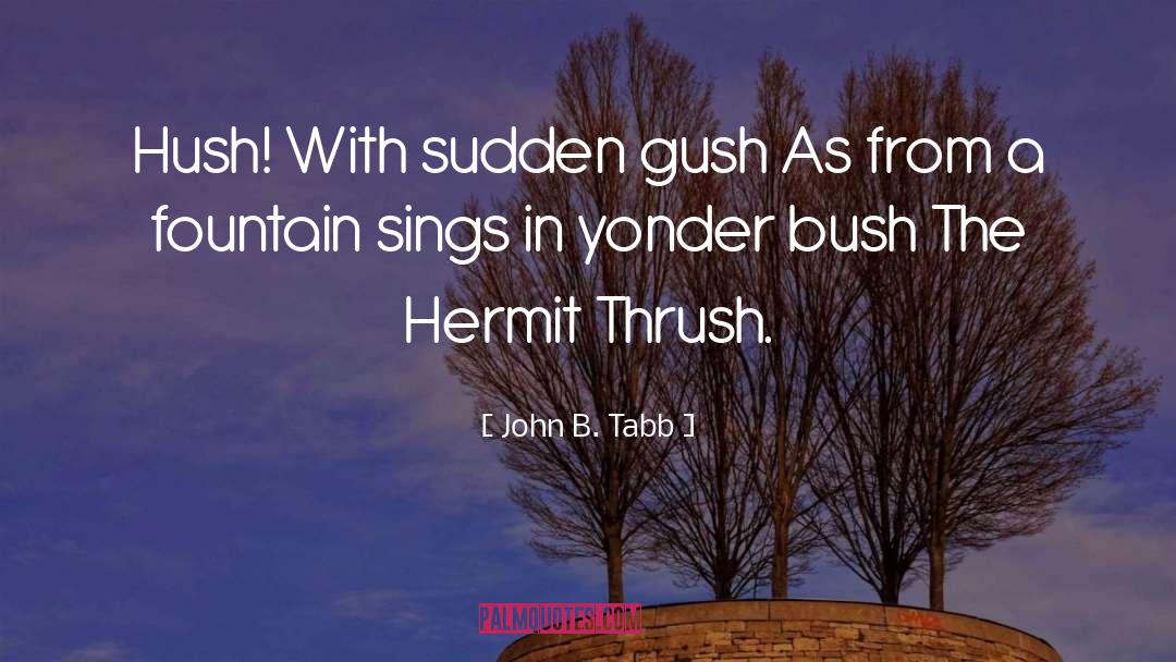 Hermit quotes by John B. Tabb