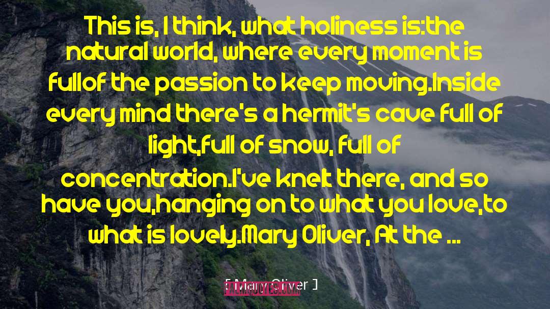 Hermits quotes by Mary Oliver