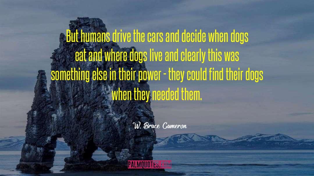 Heroes Cars Dogs Cats quotes by W. Bruce Cameron