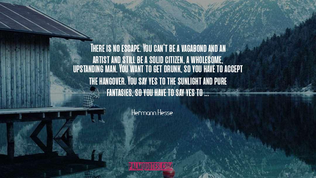 Heroes Of The Frontier quotes by Hermann Hesse