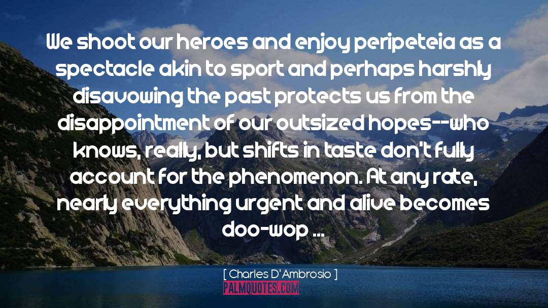 Heroes Of The Frontier quotes by Charles D'Ambrosio