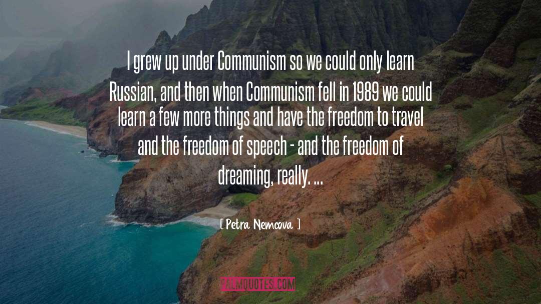 Heroic Speech quotes by Petra Nemcova