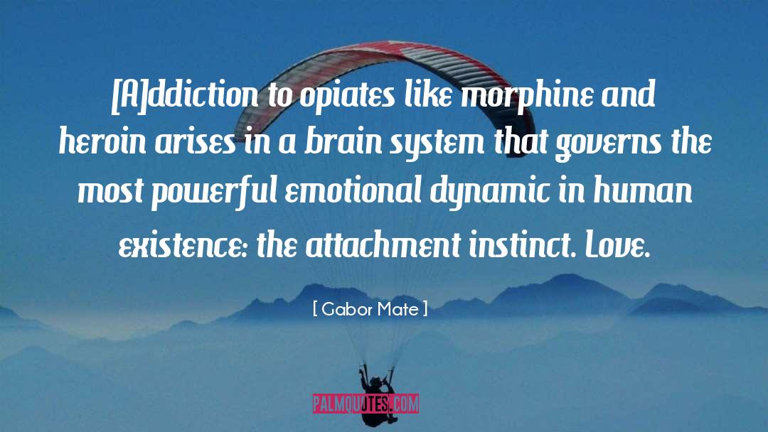 Heroin Overdoes quotes by Gabor Mate