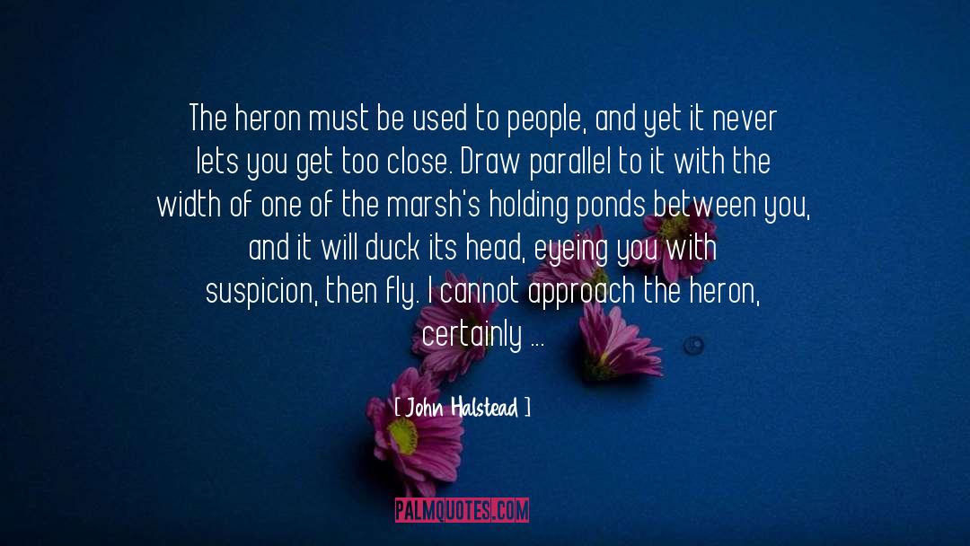 Heron quotes by John Halstead