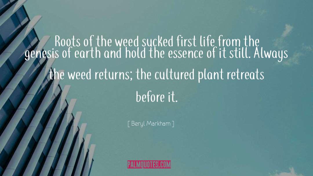 Hershey Plant Closure quotes by Beryl Markham