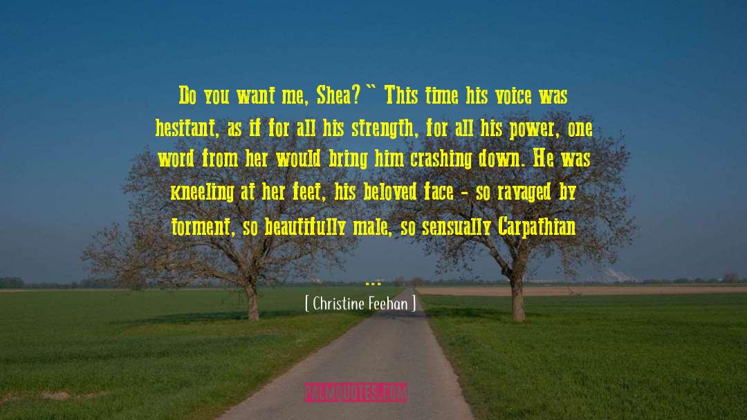 Hesitant quotes by Christine Feehan