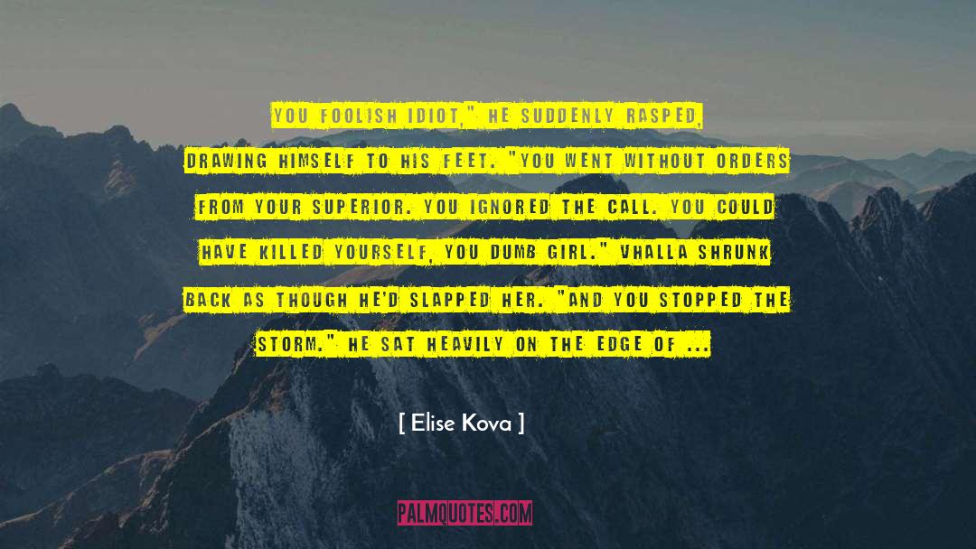 Hesitation quotes by Elise Kova