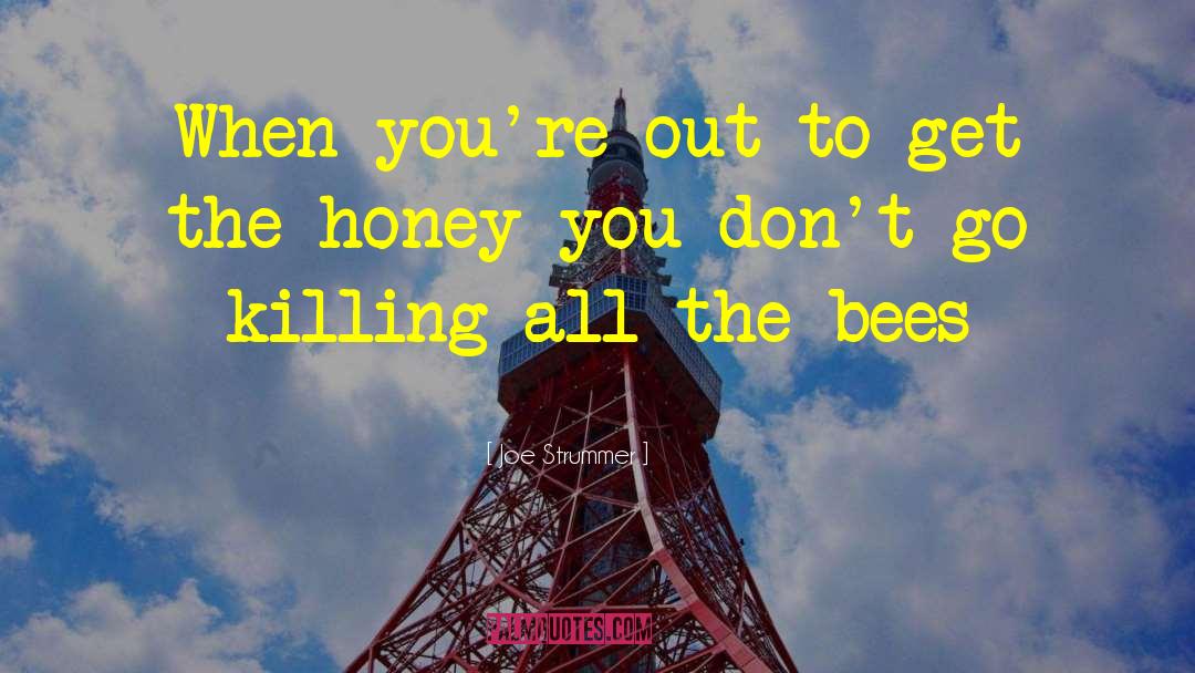 Heslet Honey quotes by Joe Strummer