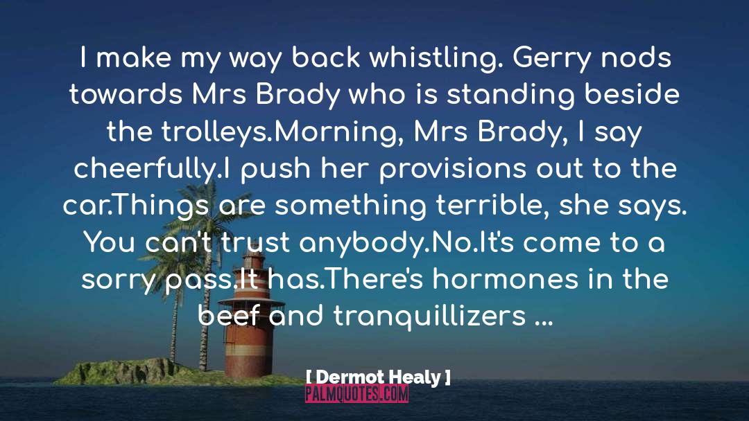 Heslip Brady quotes by Dermot Healy