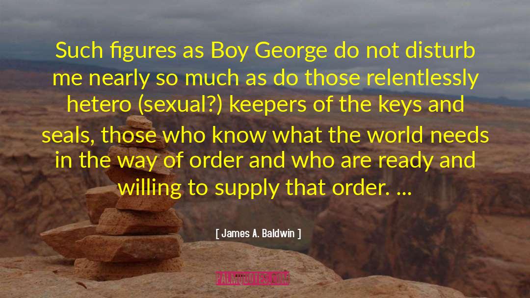 Hetero Homosexuality Dichotomy quotes by James A. Baldwin