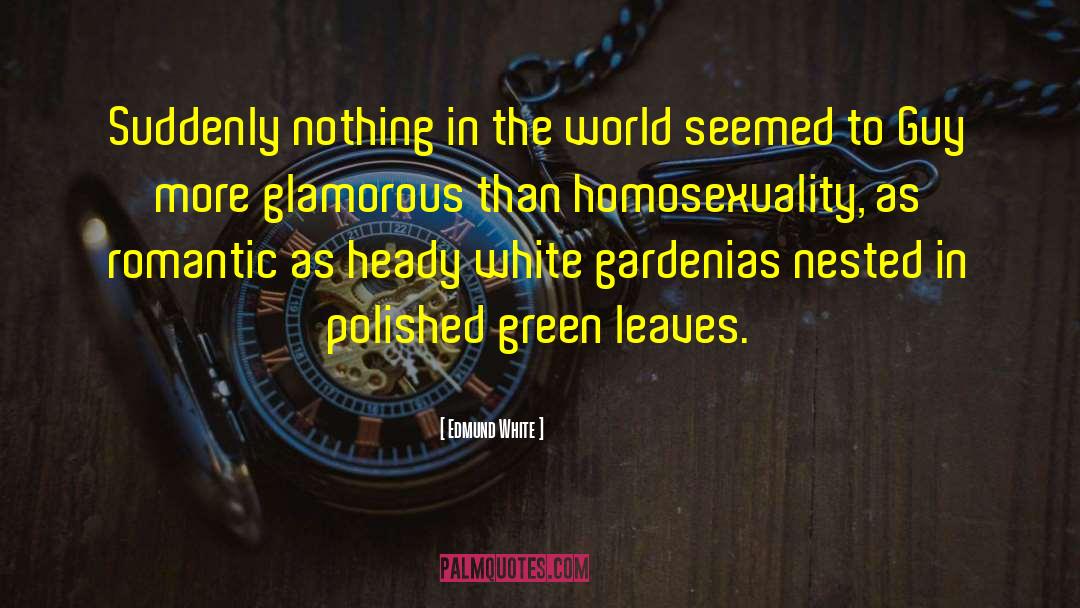 Hetero Homosexuality Dichotomy quotes by Edmund White