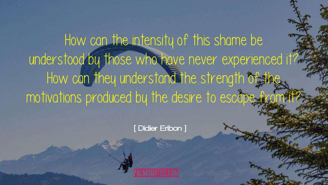 Hetero Homosexuality Dichotomy quotes by Didier Eribon