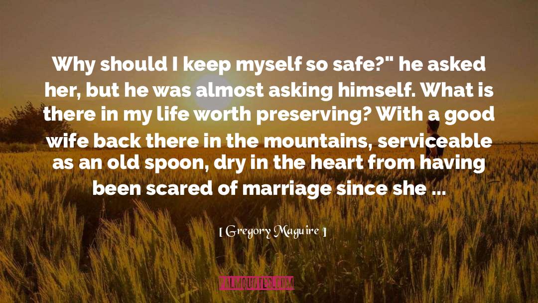 Heterosexual Marriage quotes by Gregory Maguire