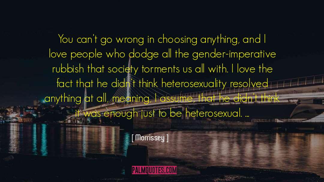 Heterosexuality quotes by Morrissey