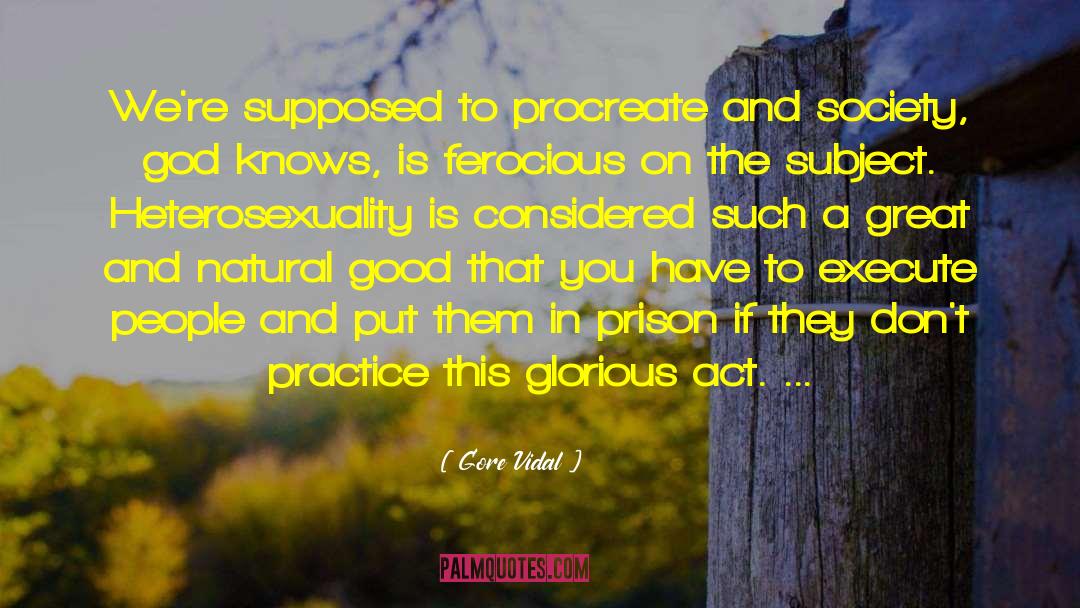 Heterosexuality quotes by Gore Vidal