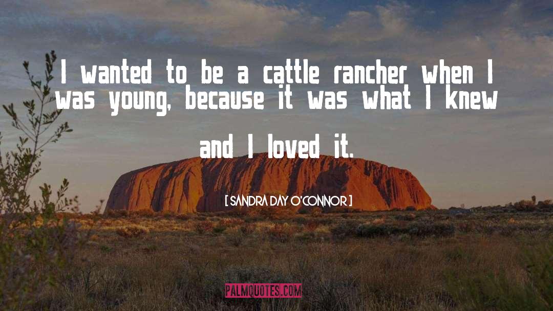 Hewitson Cattle quotes by Sandra Day O'Connor