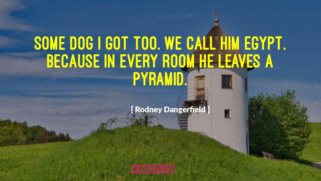 Hexagonal Pyramid quotes by Rodney Dangerfield