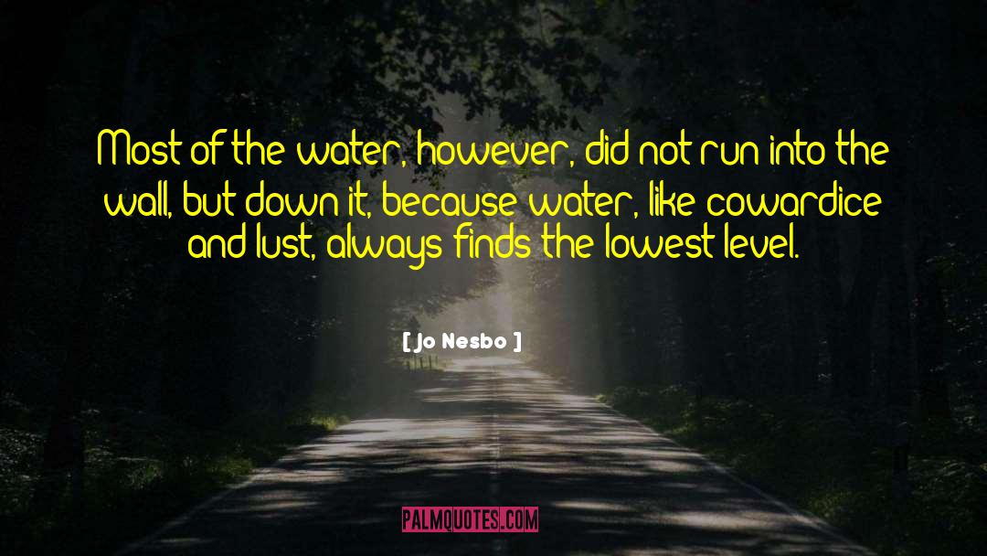 Hexagonal Water quotes by Jo Nesbo