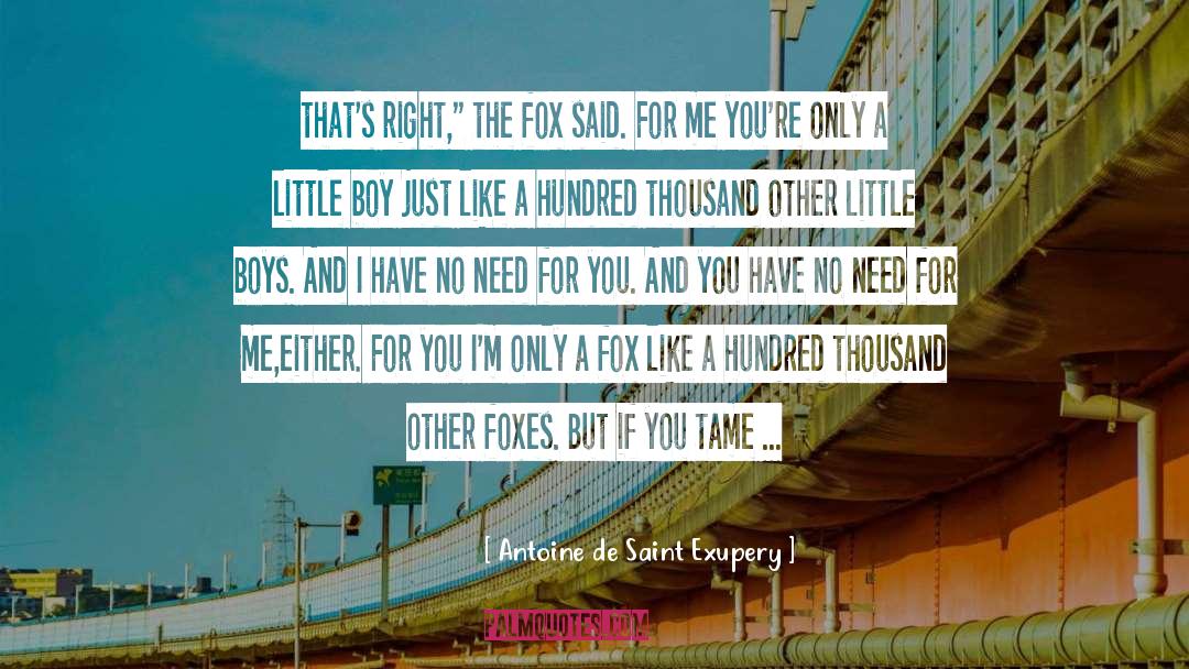 Hey Boy quotes by Antoine De Saint Exupery