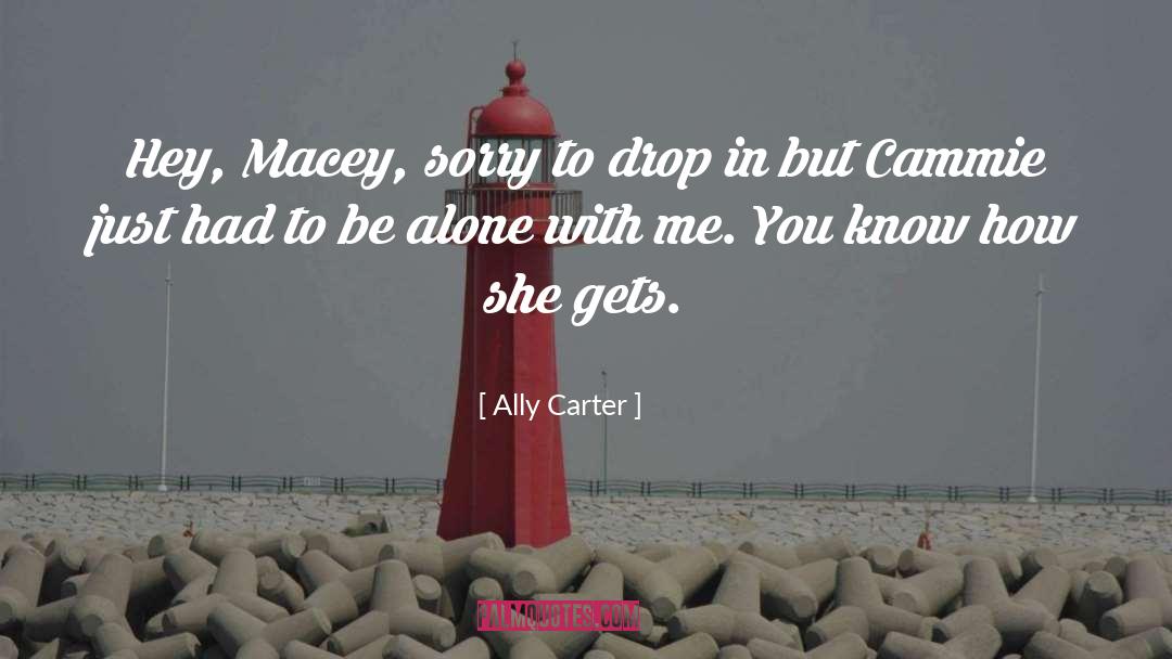 Hey quotes by Ally Carter