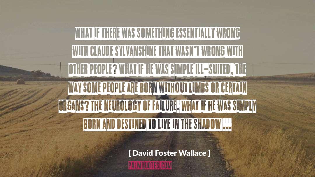 Heydemann Neurology quotes by David Foster Wallace