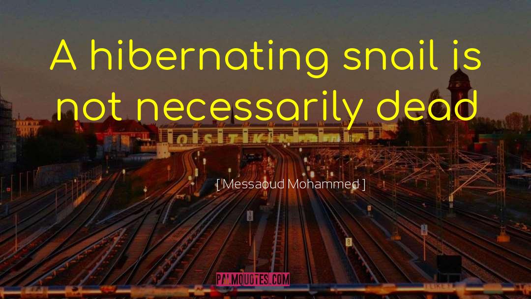 Hibernate quotes by Messaoud Mohammed