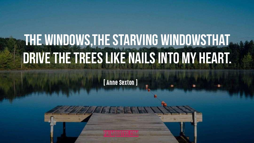 Hibernate Windows quotes by Anne Sexton