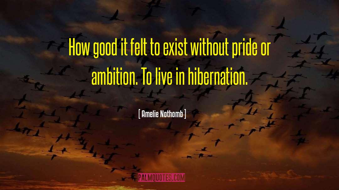 Hibernation quotes by Amelie Nothomb