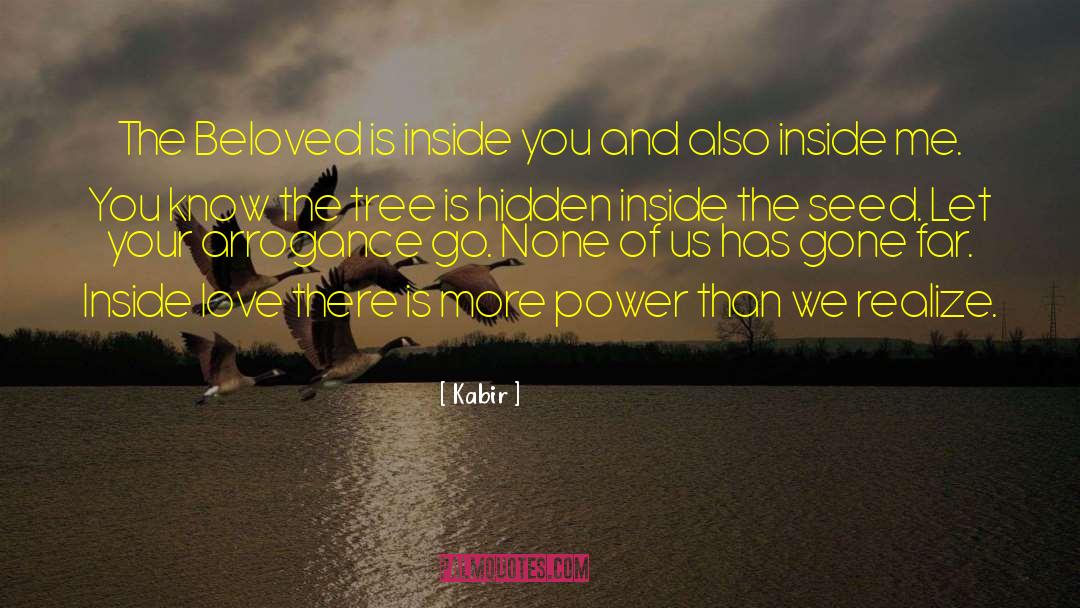 Hidden Huntress quotes by Kabir
