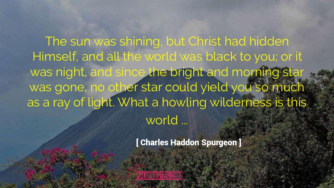 Hidden Huntress quotes by Charles Haddon Spurgeon