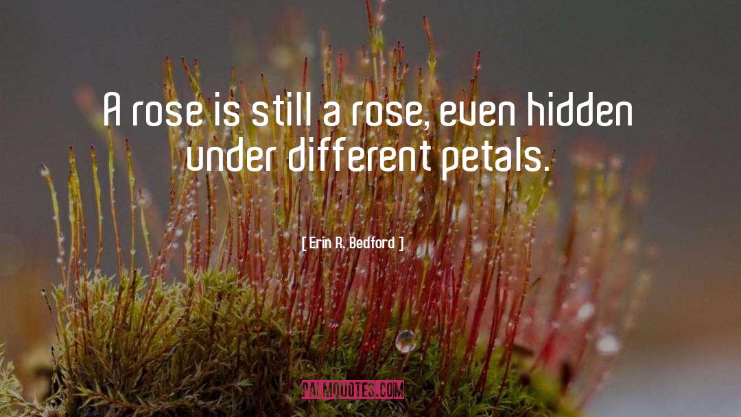 Hidden Hurts quotes by Erin R. Bedford