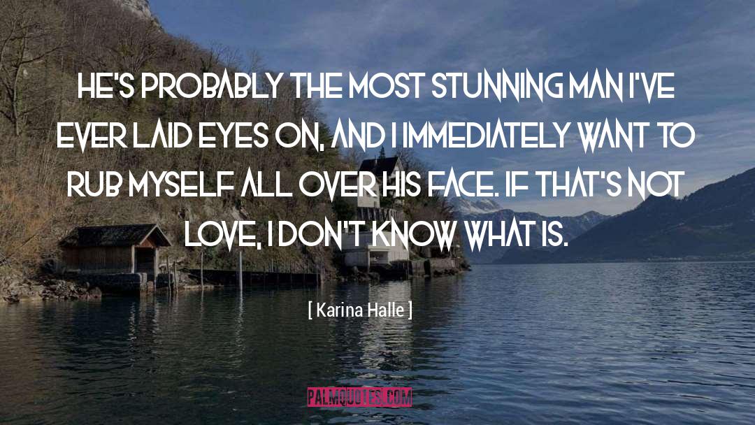 Hidden Love quotes by Karina Halle