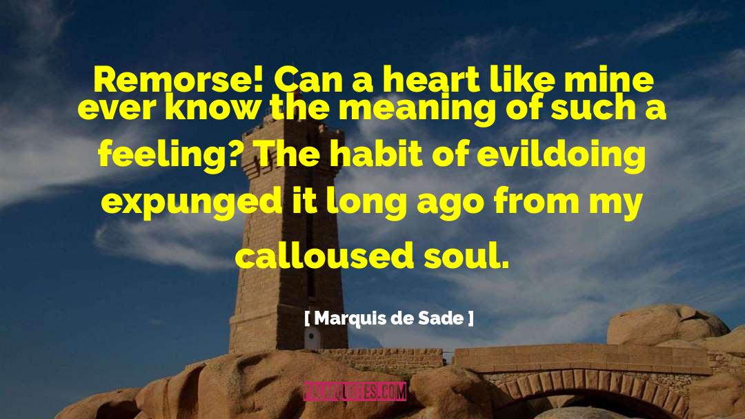 Hidden Meaning quotes by Marquis De Sade