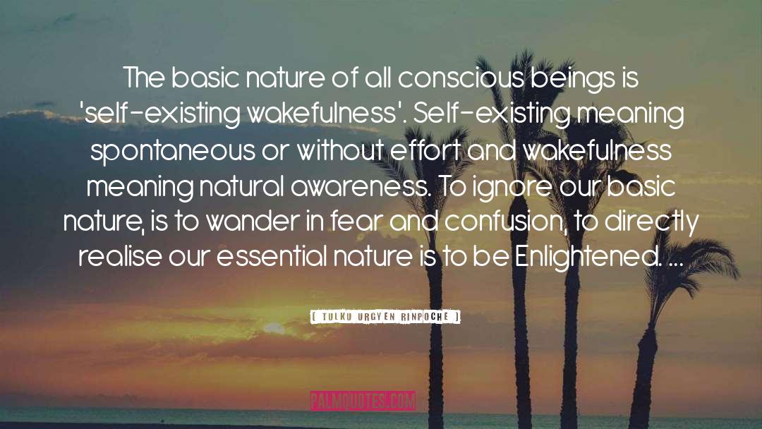 Hidden Meaning quotes by Tulku Urgyen Rinpoche