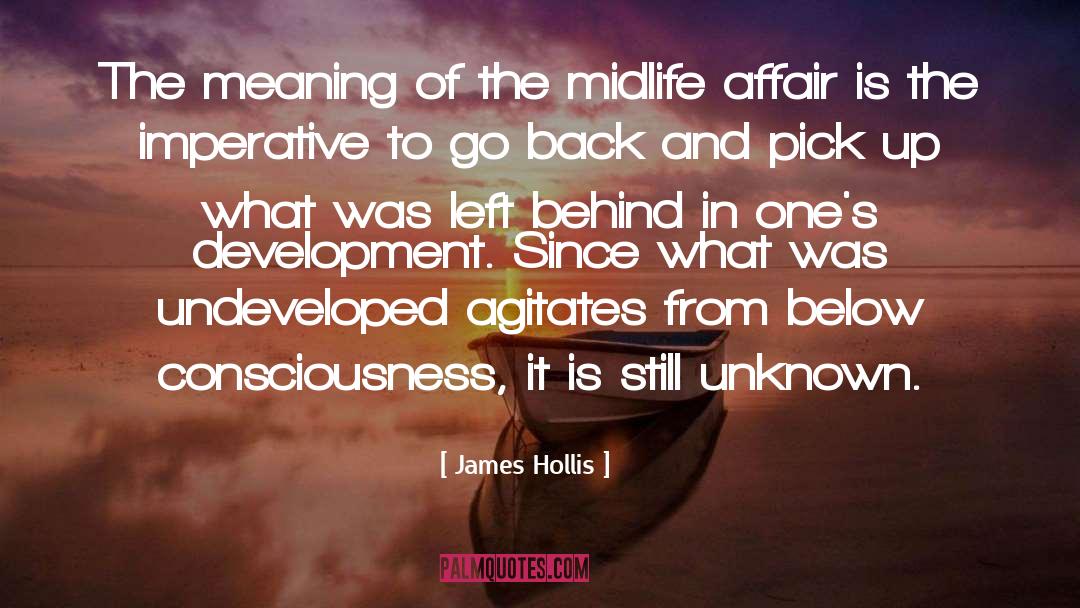 Hidden Meaning quotes by James Hollis