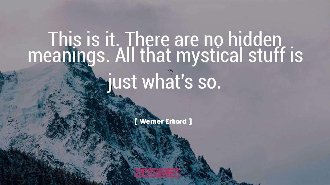 Hidden Meanings quotes by Werner Erhard