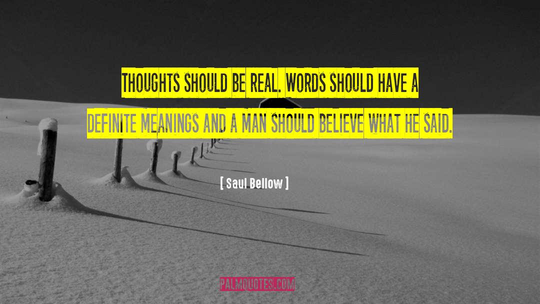 Hidden Meanings quotes by Saul Bellow