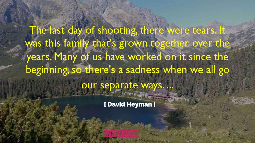 Hidden Sadness quotes by David Heyman