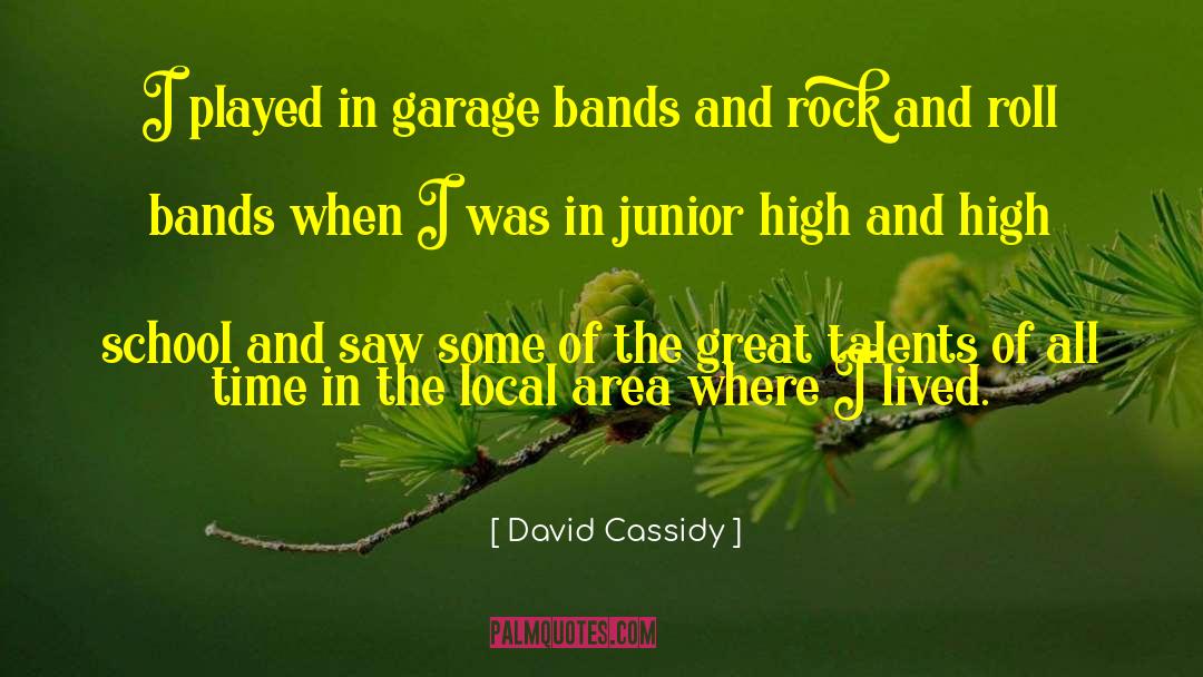 Hidden Talents David Lubar quotes by David Cassidy