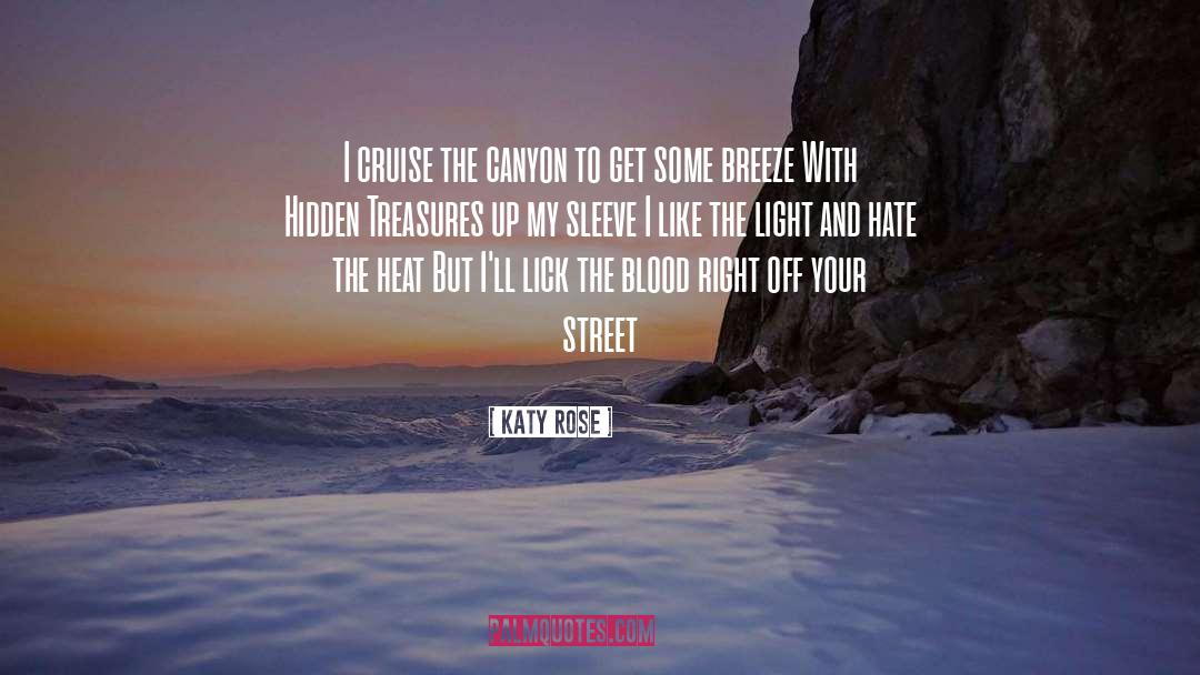 Hidden Treasures quotes by Katy Rose