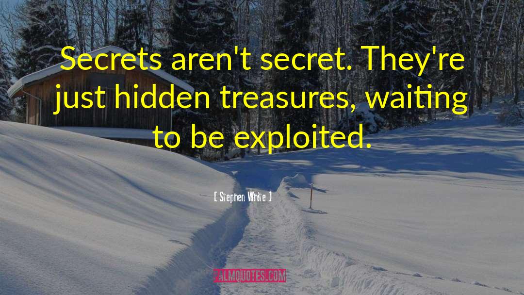 Hidden Treasures quotes by Stephen White