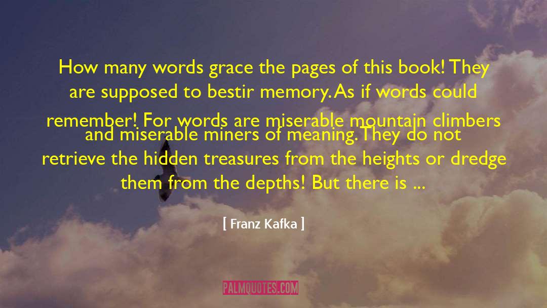 Hidden Treasures quotes by Franz Kafka