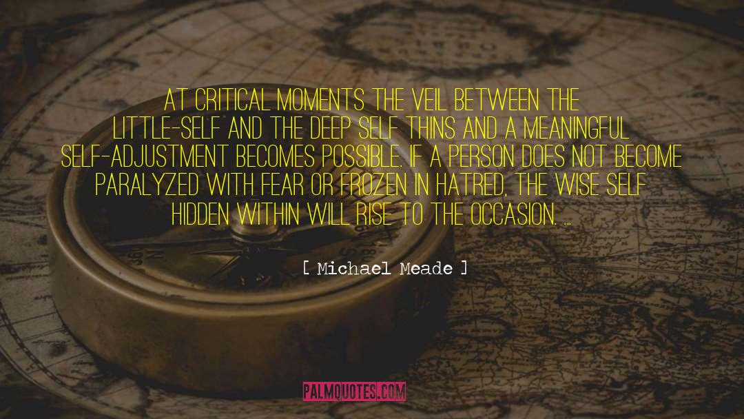 Hidden Within quotes by Michael Meade