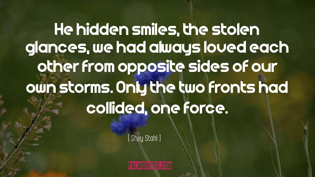 Hidden Within quotes by Shey Stahl