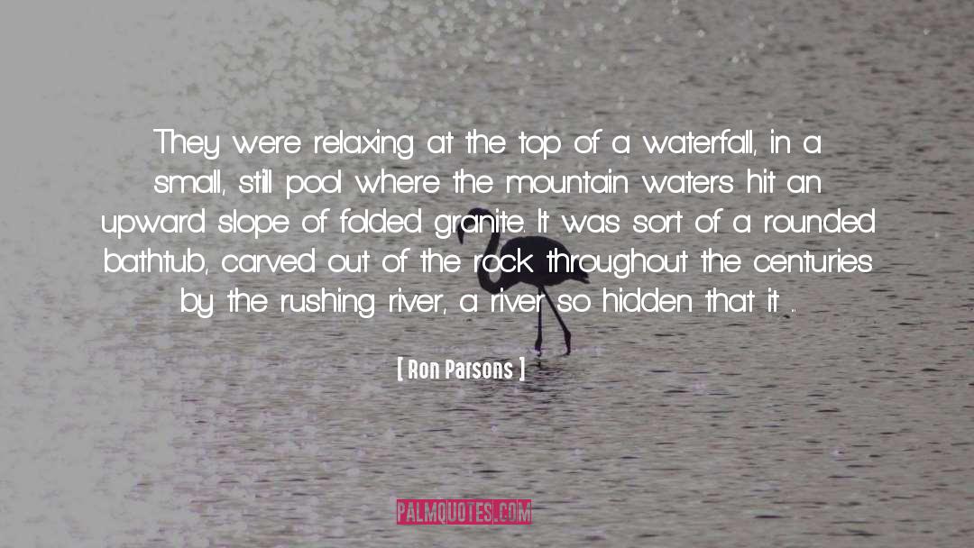 Hidden Worlds quotes by Ron Parsons