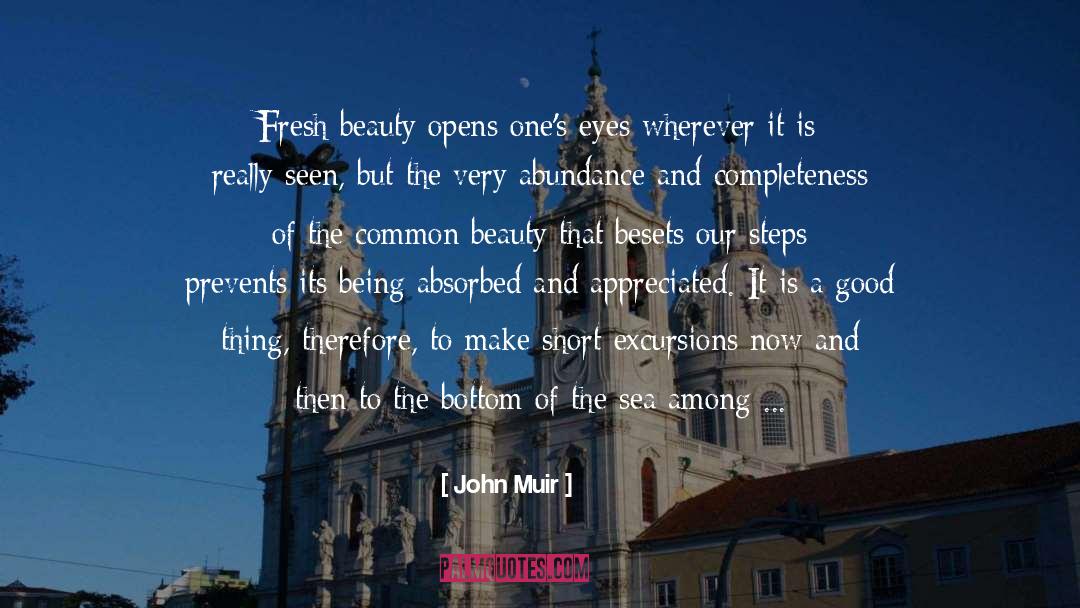 Hide Our Beauty quotes by John Muir