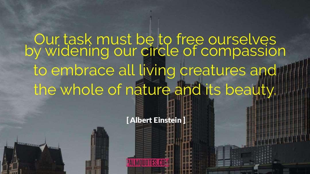 Hide Our Beauty quotes by Albert Einstein
