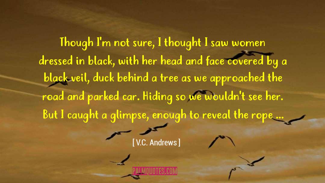 Hide The Pain Behind The Smile quotes by V.C. Andrews